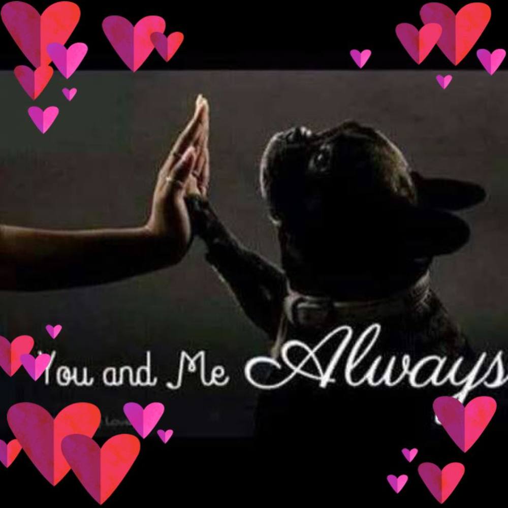 Meet your Posher, Peg